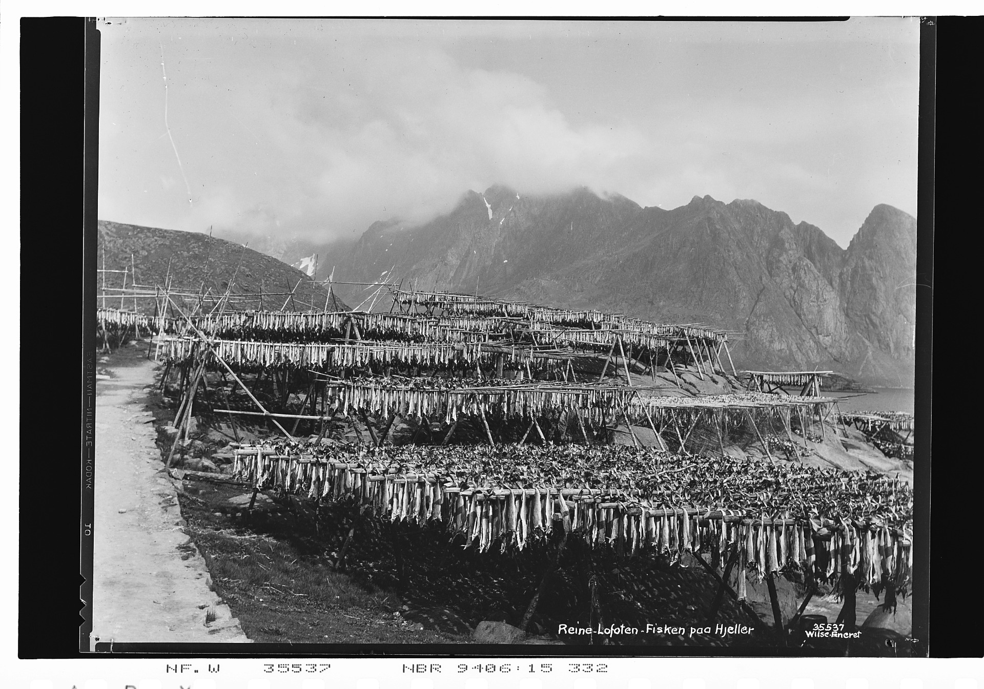 Tørrfisk på hjeller i Reine. Foto: Anders Beer Wilse. Kilde: Norsk Folkemuseum.